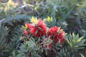 2025-06-21 Bartons Park - IMG_2532_compressed_q50.webp